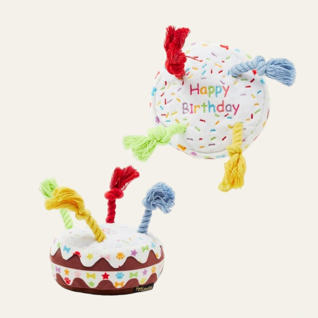 Pet London Squeaky Birthday Cake Dog Toy