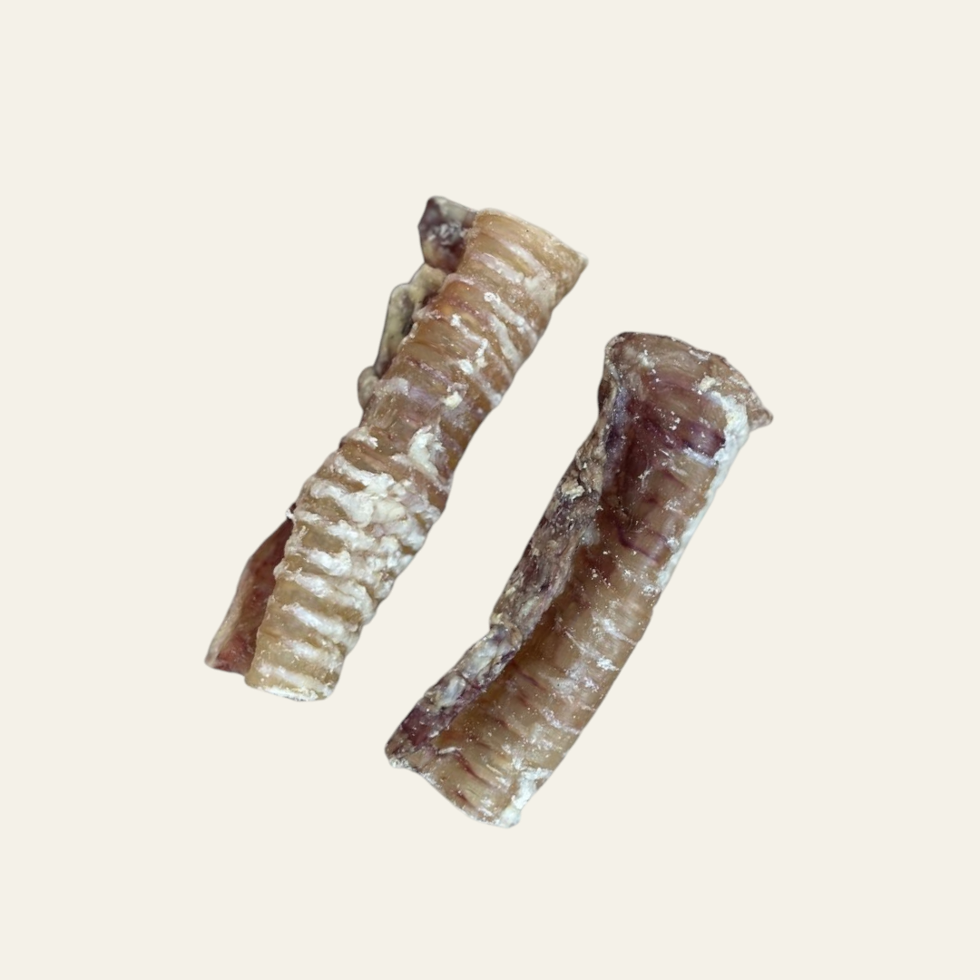 Fiver Friday| Trachea Mix