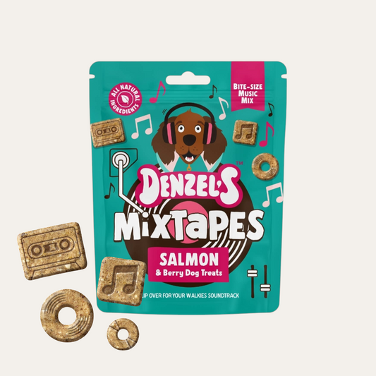 Denzel’S Mixtapes Salmon & Berries Dog Treats 90g