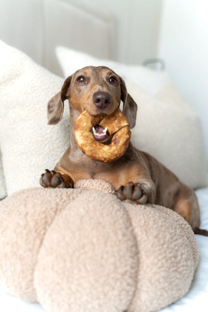 Chewllagen Chicken Small Donut | 3.5″