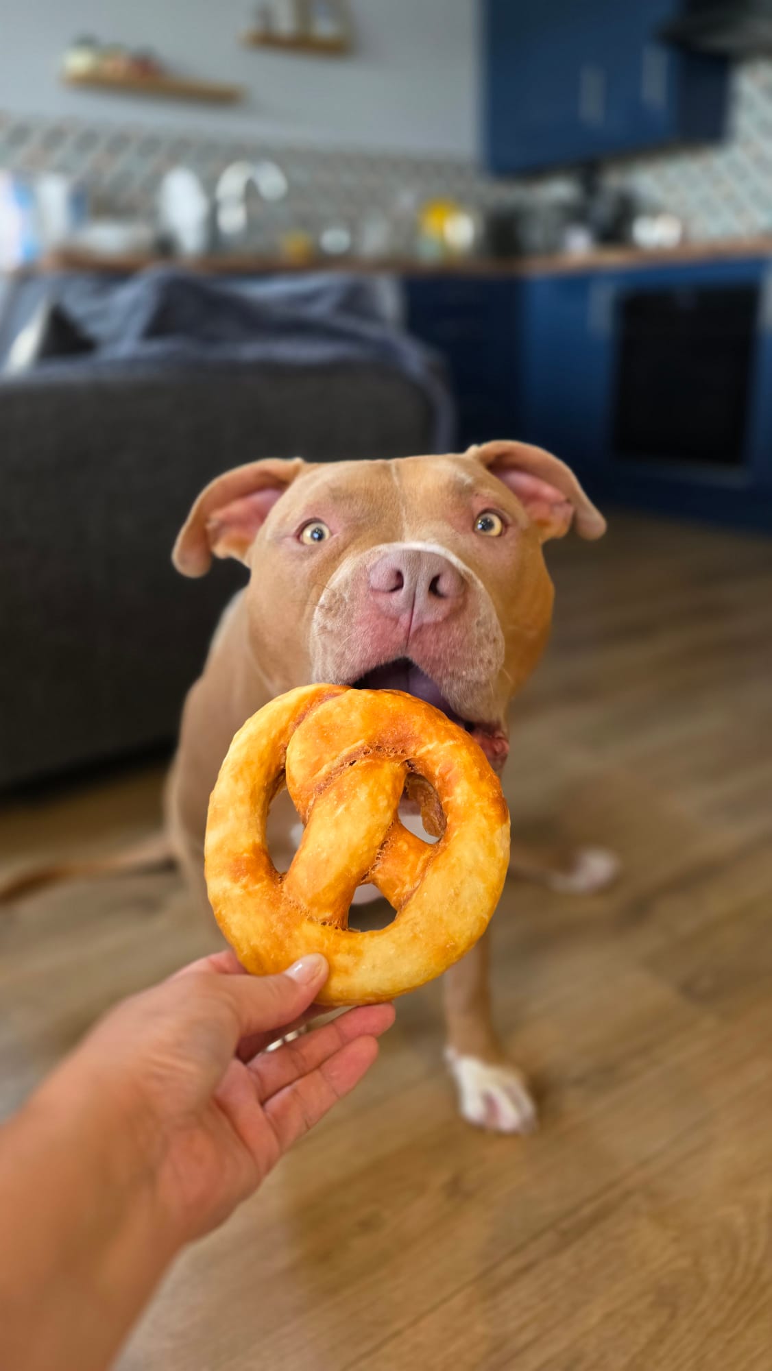Collagen Chicken Coated Pretzel