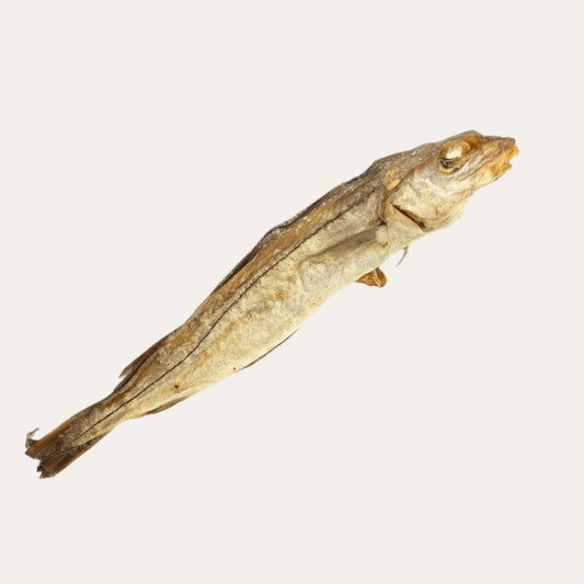 Fish Raffle Tickets| READ DESCRIPTION