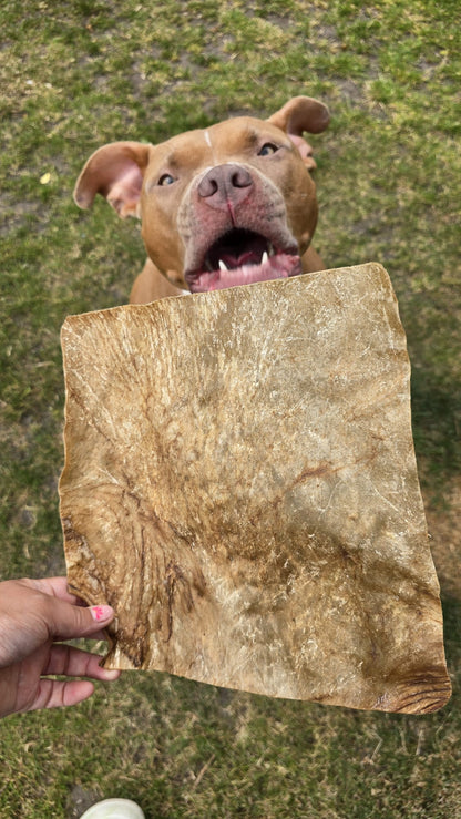 Large Buffalo Skin Plate