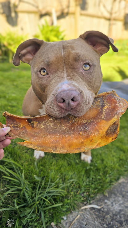 Beef Moon Bone