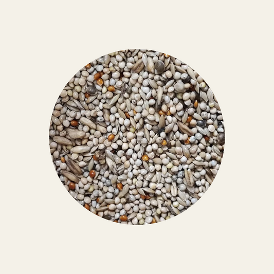 Budgie Feed/ Seed