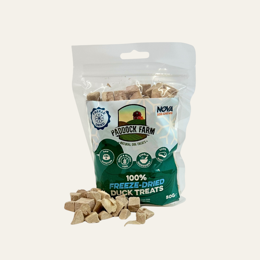 Freeze Dried Duck Cubes 50g