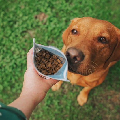 Denzel'S Lamb & Veg Springtime Bites 100g