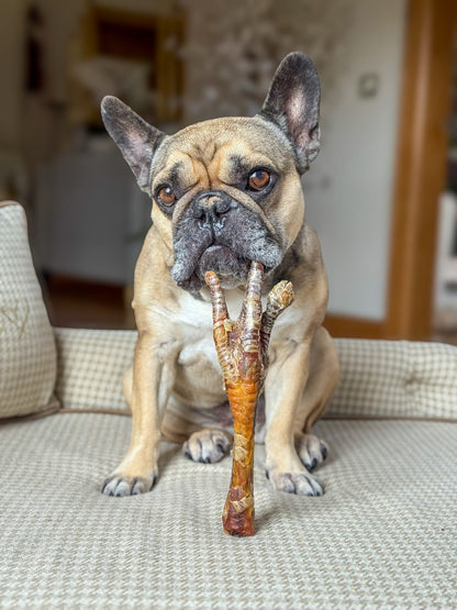 Turkey Leg/ Foot