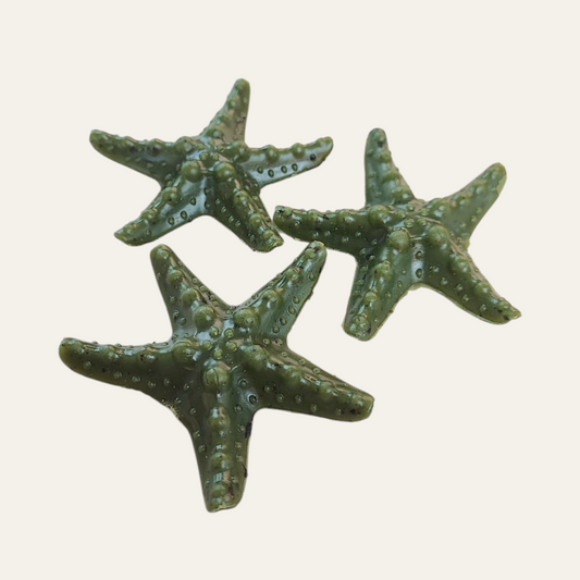 Veggie Mint Star Fish