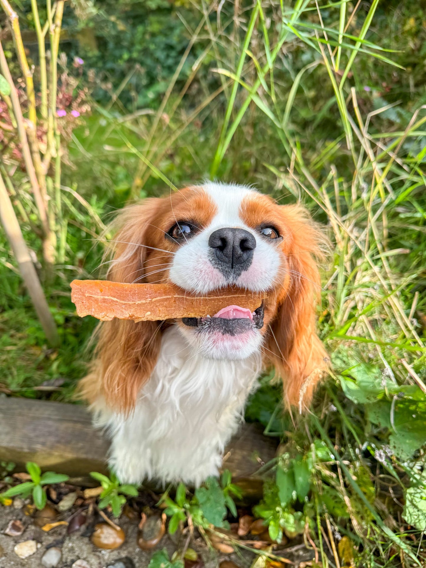 Sweet Potato & Cod Fillet