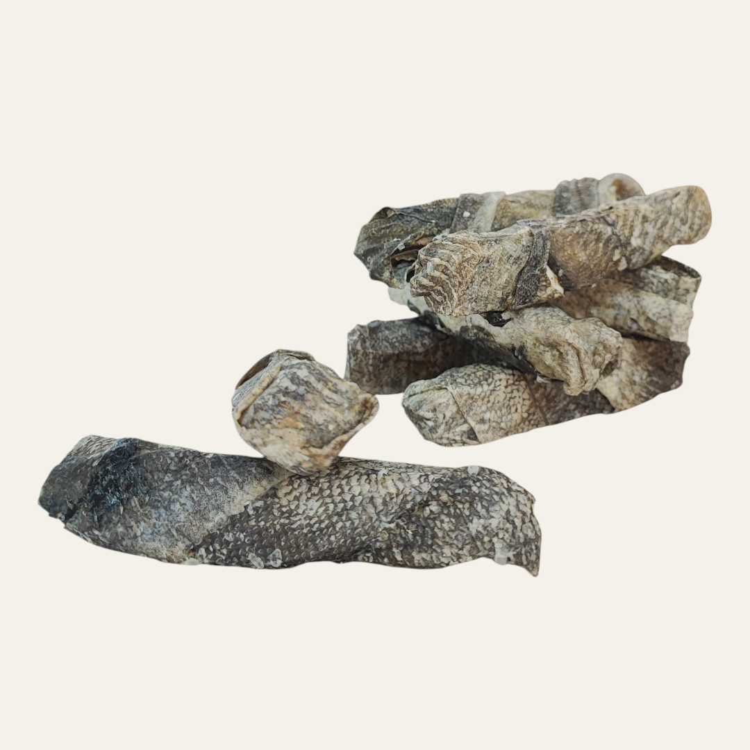 Fish Skin Stick