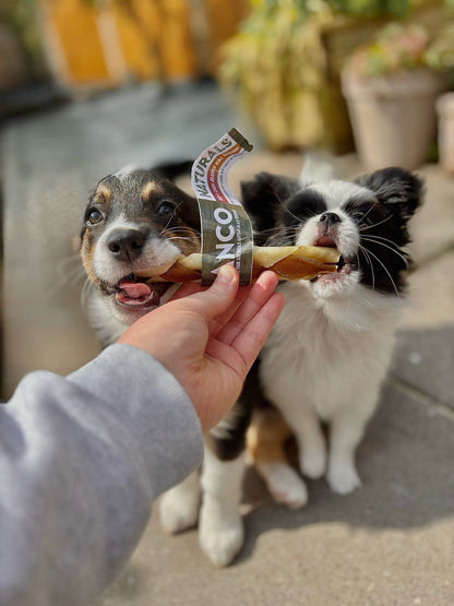 Anco Naturals Beef and Camel Braided Roll Medium