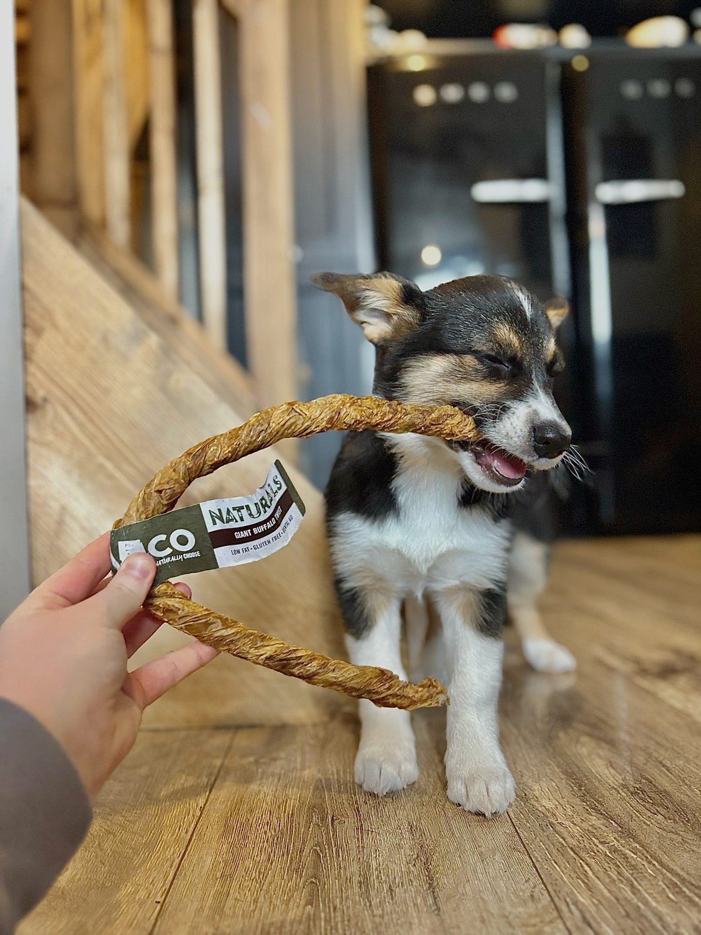 Anco Giant Buffalo Twists