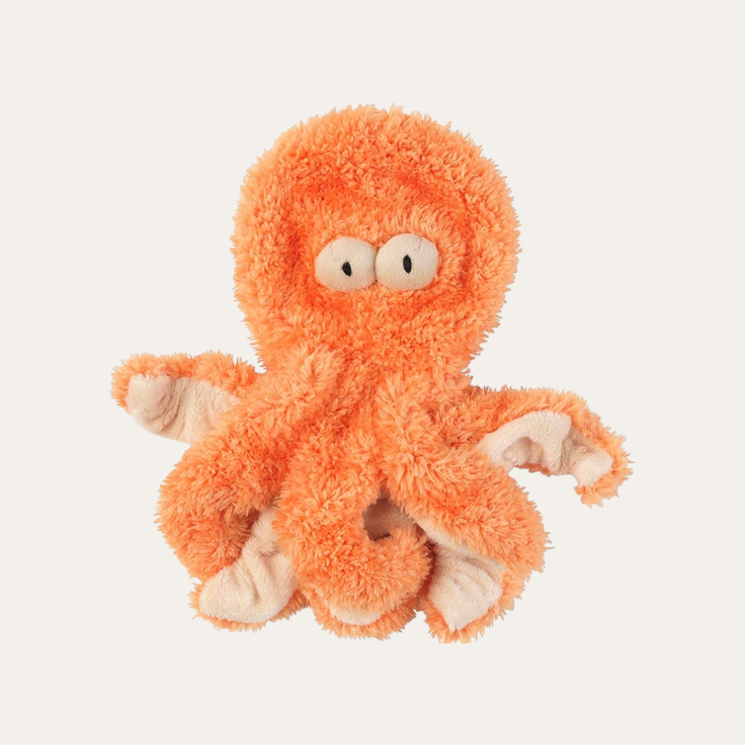 Flat Out Sir Legs A Lot the Octopus