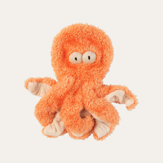 Flat Out Sir Legs A Lot the Octopus