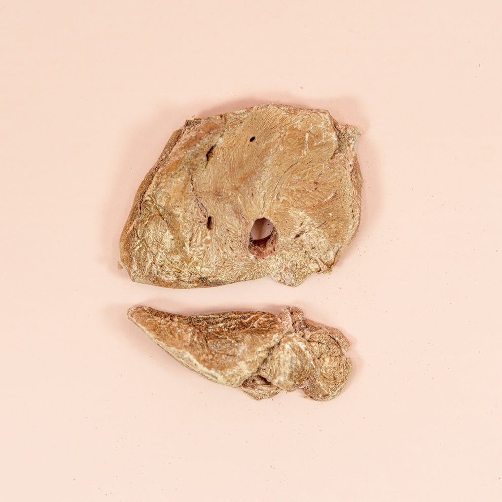 Waita Freeze Dried Ostrich Liver 50g