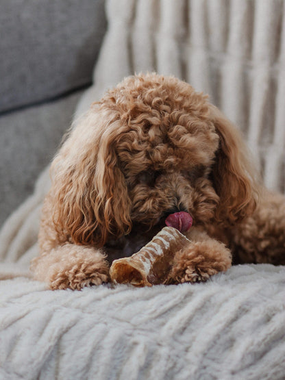 Beef Trachea Curls