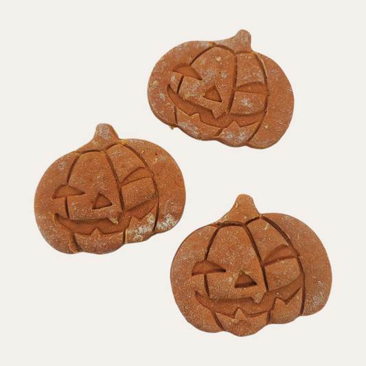 Apawtiser Butternut Squash Pumpkins | 3 Pack