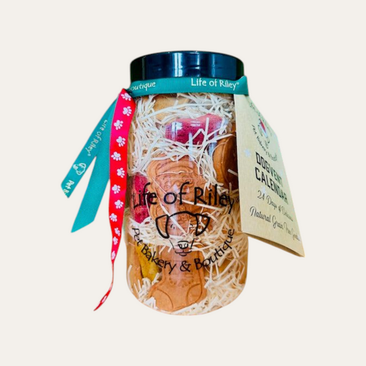 Premium Dogvent! Giant Doggy Advent Calendar Jar