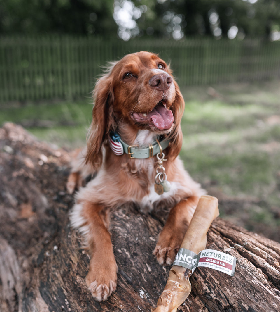 Anco Naturals Beef Collagen Roll Large