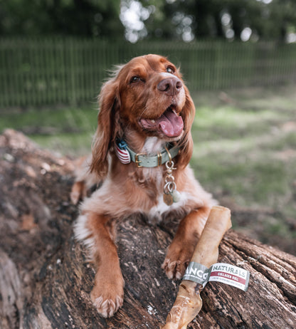 Anco Naturals Beef Collagen Roll Large