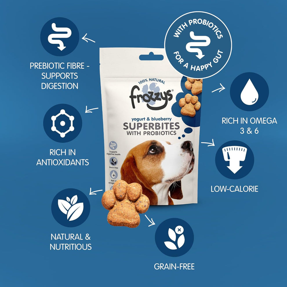 Frozzys Superbites|  Yogurt and Blueberry