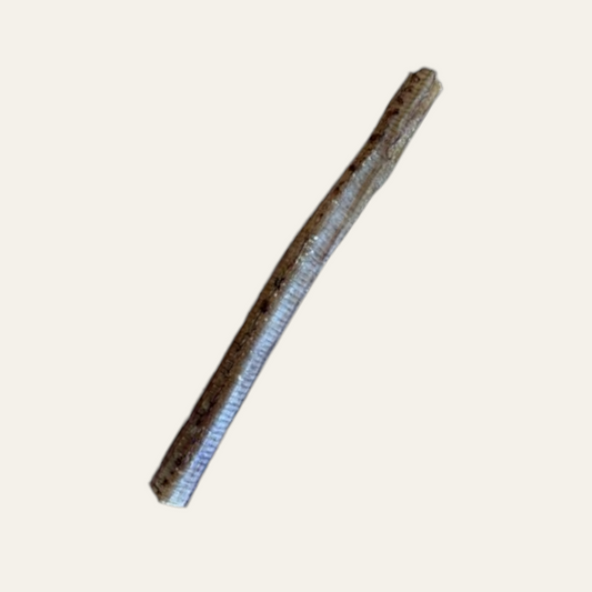 Ostrich Tubes