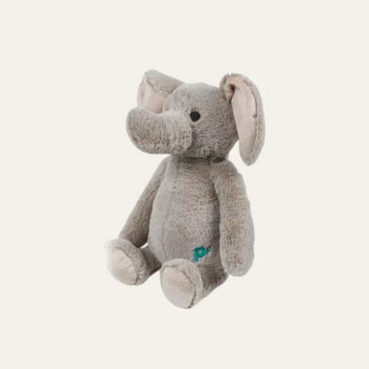 The Little Petface Betty the Elephant