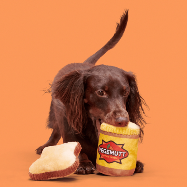 BARK Vegemutt Toast | 2 Pieces