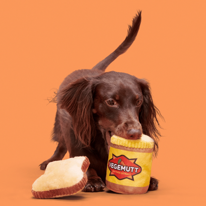 BARK Vegemutt Toast | 2 Pieces