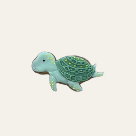 Turtle Biscuit