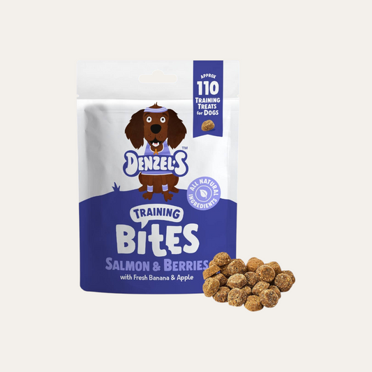 Denzel'S Salmon & Berries Training Bites For Dogs