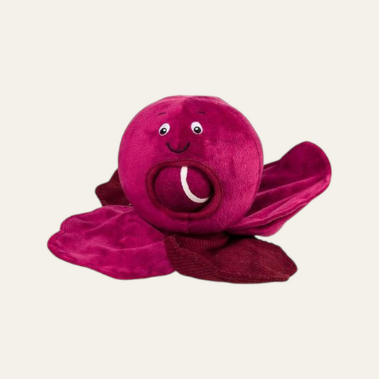 Red Cabbage with Tennis Ball