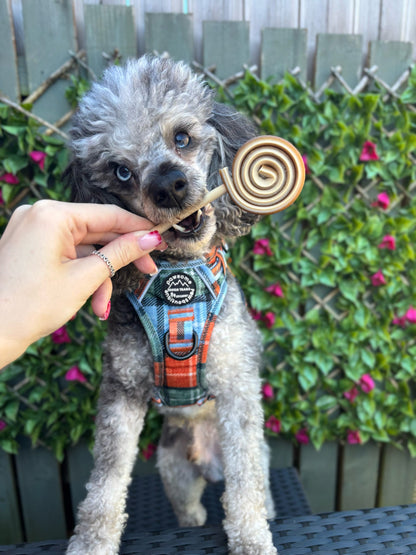 Veggie Lollipop