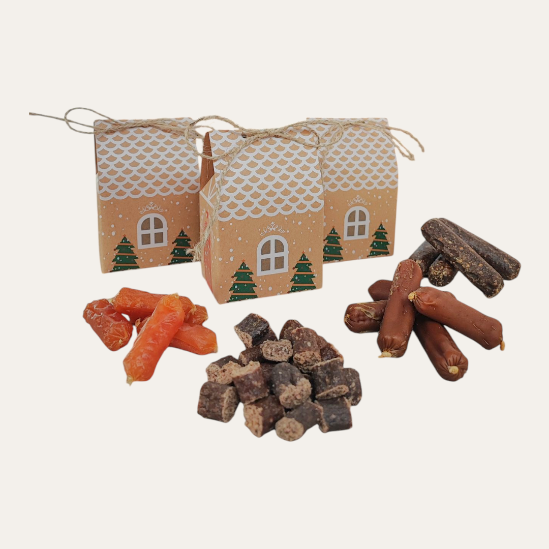 Festive Sausage Box House | 4 Options