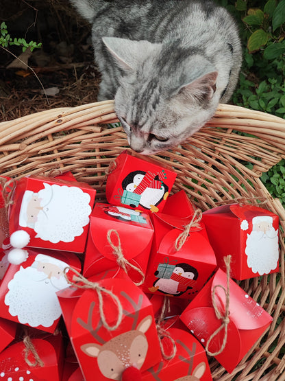 BARK 25 Day PICKY BITS Advent Calendar   | PRE ORDER | This must be ordered separately to other items