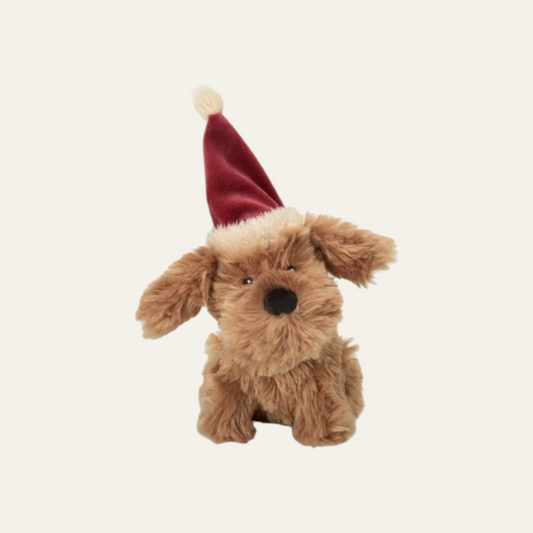 Petface Stella Scruffy Dog