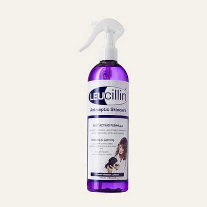 Leucillin Antiseptic Spray 500ml