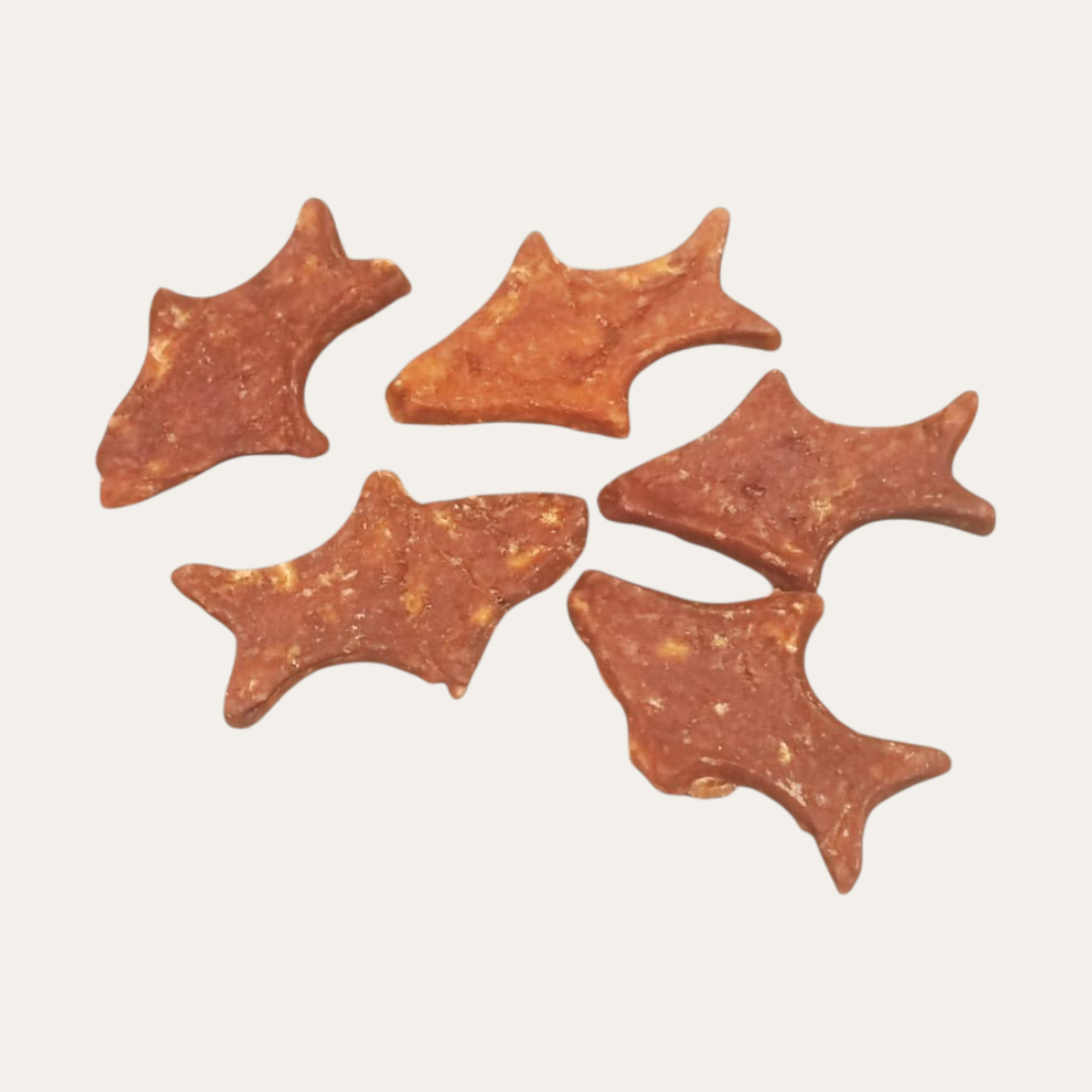Salmon Fish