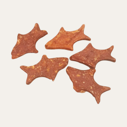 Salmon Fish