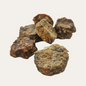 Cod Coin