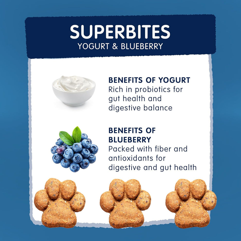 Frozzys Superbites|  Yogurt and Blueberry