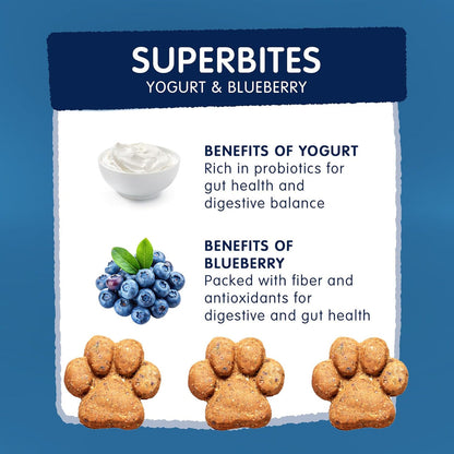Frozzys Superbites|  Yogurt and Blueberry