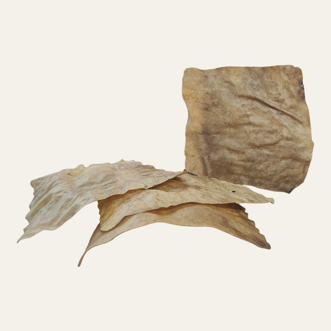 Large Buffalo Skin Plate