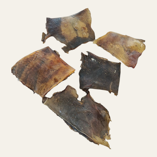 Camel Skin Plate