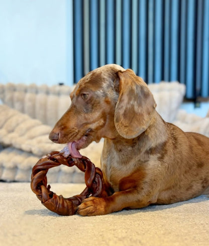 Anco Naturals Camel Collagen Braided Ring