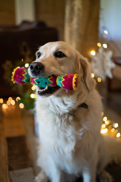 Petface Carys Cracker