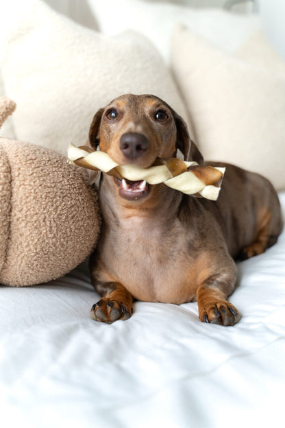 Anco Naturals Beef and Camel Braided Roll Medium