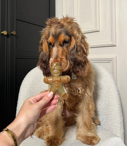 Veggie Chew Ginger & Dasher | 2 Sizes