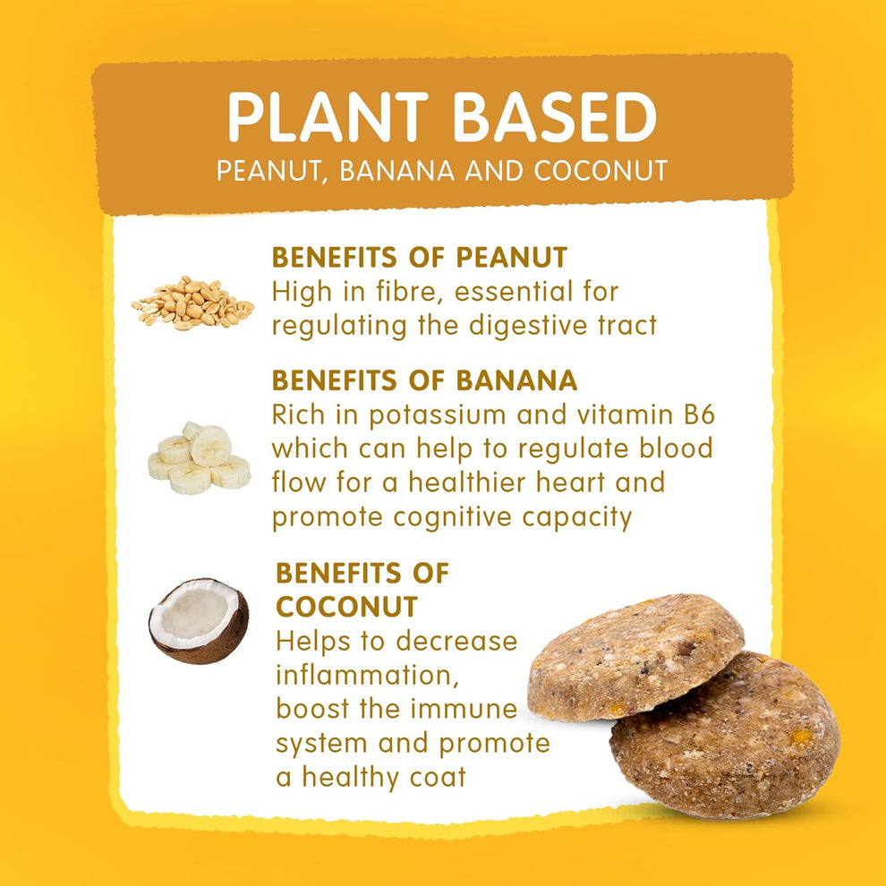 Frozzys Happy Gut Softbakes | Peanut Butter, banana & Coconut